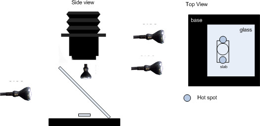 Need-Help/Suggestions-With-Axial-Lighting