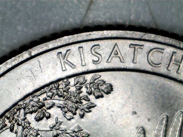 1985-P-And-2015-P-Quarters-Find