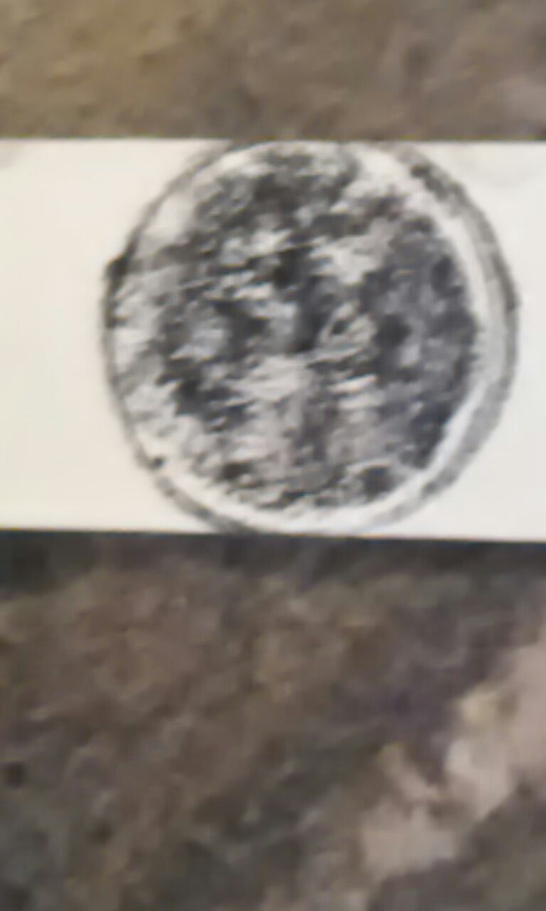 Help!-What-Could-This-Be?-Id:-Likely-Curtain-Weight