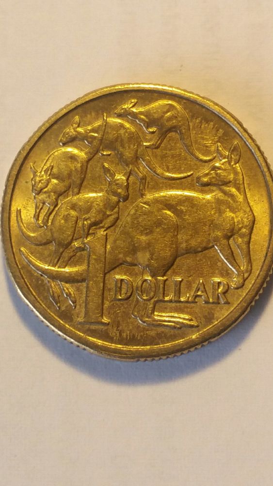 Noodling-Find-Of-The-Week?