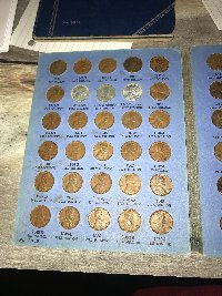 New-Member-That-Has-Inherited-Coins