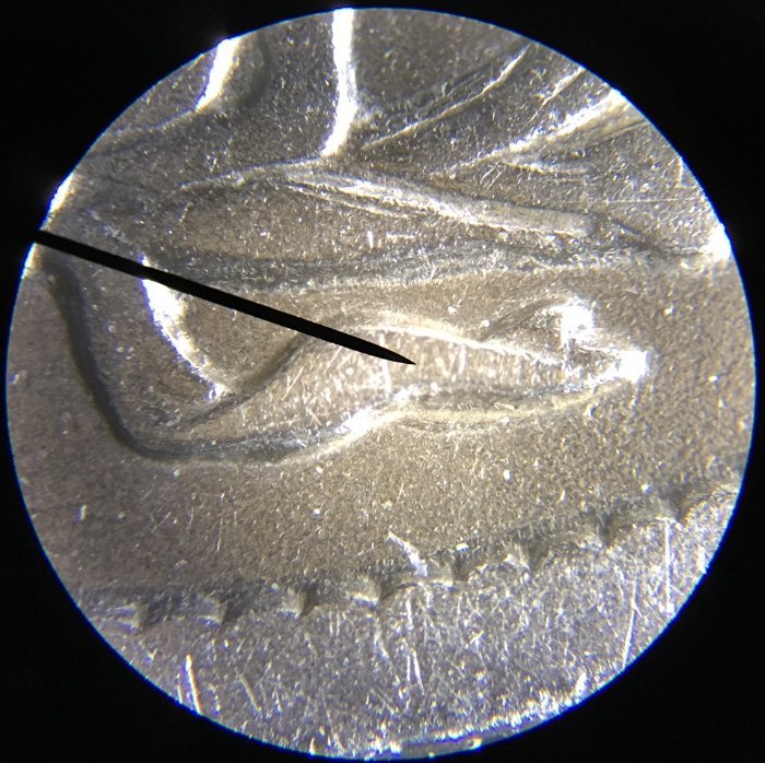 1901-P-Barber-Dime---Whizzed?