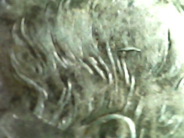 1968-Silver-Half-Dollar-W/-Weird-Stray-Hair