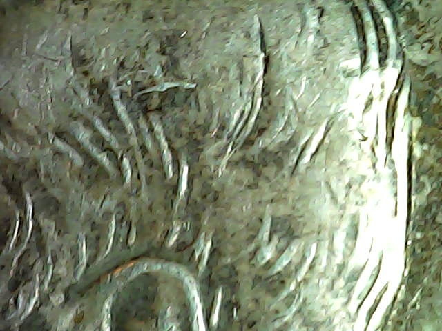 1968-Silver-Half-Dollar-W/-Weird-Stray-Hair