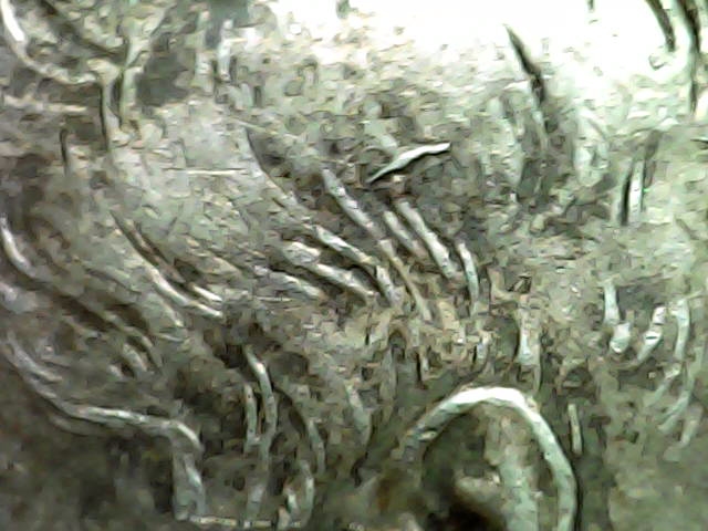 1968-Silver-Half-Dollar-W/-Weird-Stray-Hair
