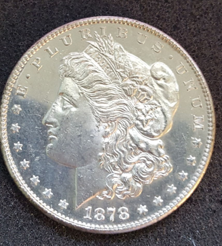 1878-S-VAM-19