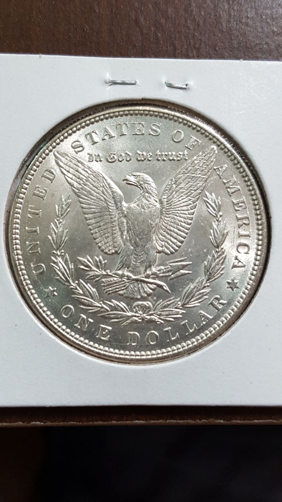 Ahhh!!-1887-Donkeytail