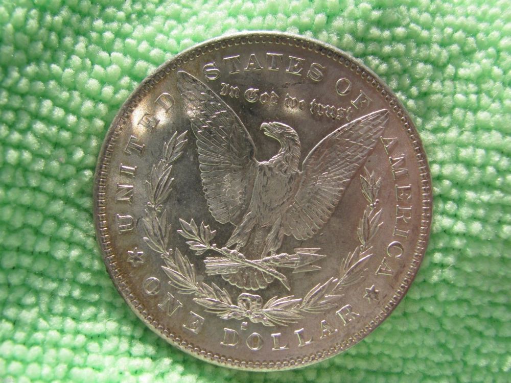 1878-S-Dragon-Scales