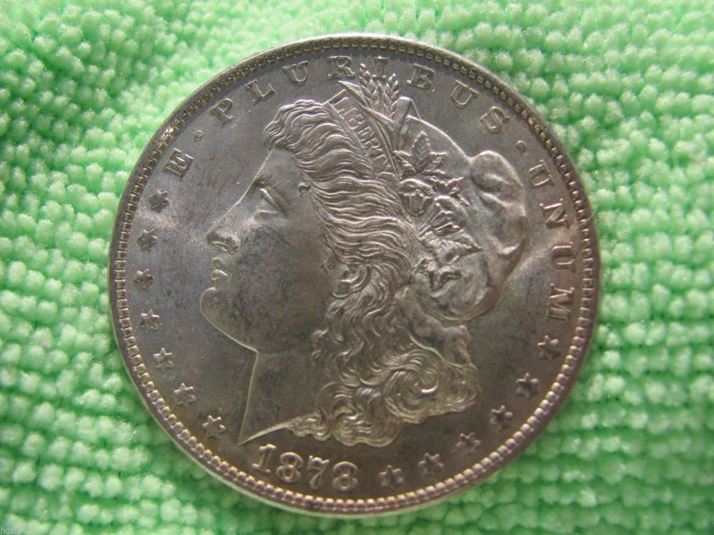 1878-S-Dragon-Scales