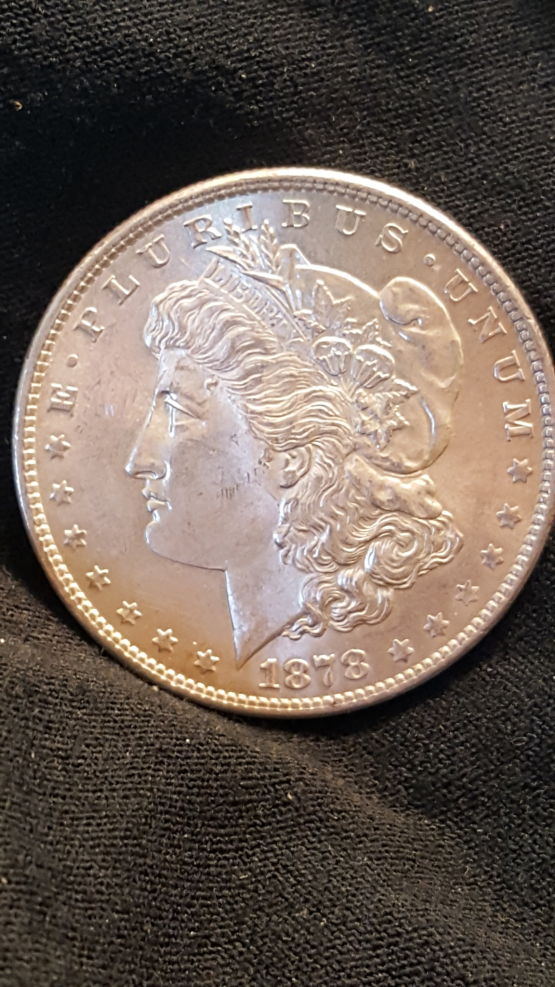 1878-S-Dragon-Scales