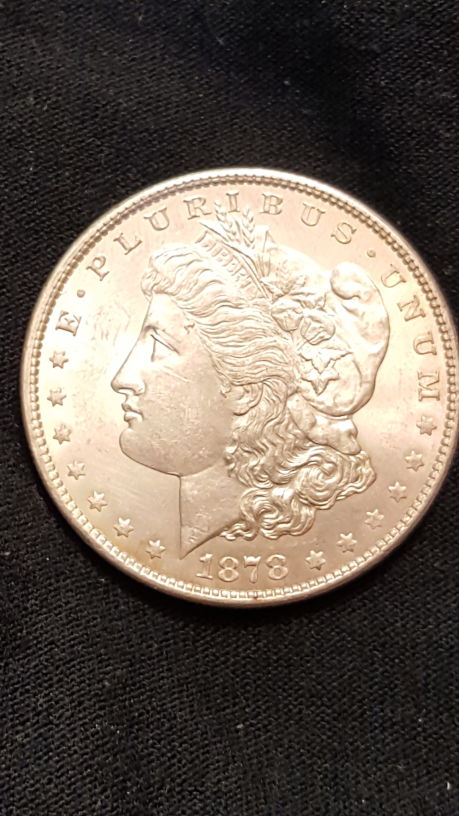 1878-S-Dragon-Scales