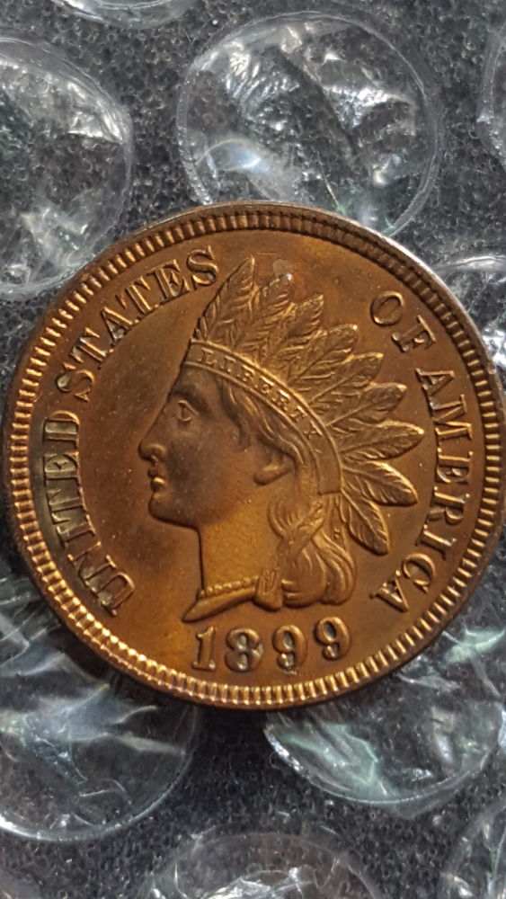 1899-Indian-Head
