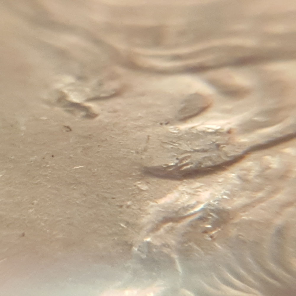 1878-S-VAM-36-Or-113?