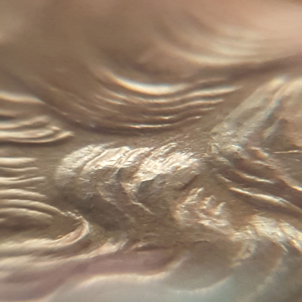 1878-S-VAM-36-Or-113?