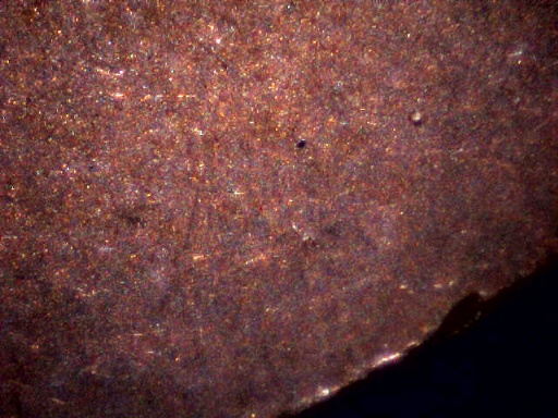 Error-Coin-In-Question