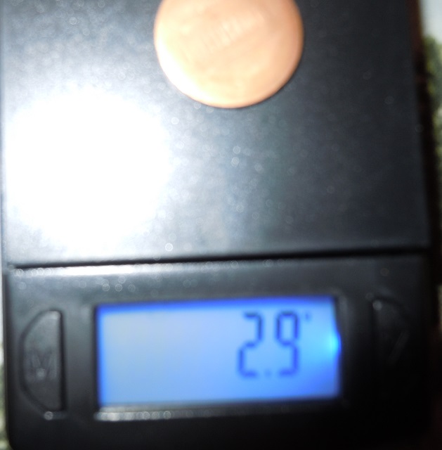 Error-Coin-In-Question