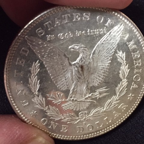 1778-S-Morgan-For-Grading-Opinions
