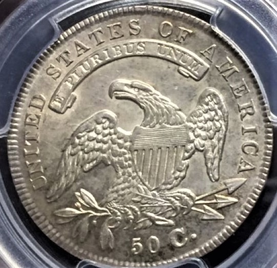 Continuing-List-To-Show-Everyones-Latest-Acquisitions