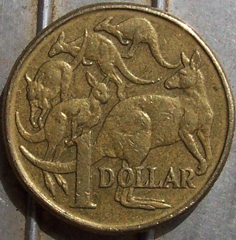 Stable-Of-2000-$1-Mules