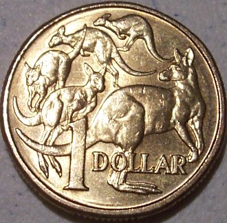 Noodling-Find-Of-The-Week?