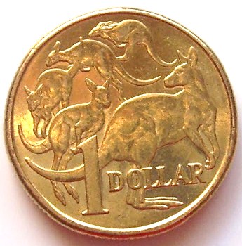 Noodling-Find-Of-The-Week?