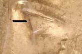 Pictures-Of-VAM-73?