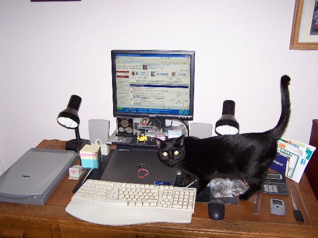 What-Does-Your-Workspace-Look-Like?