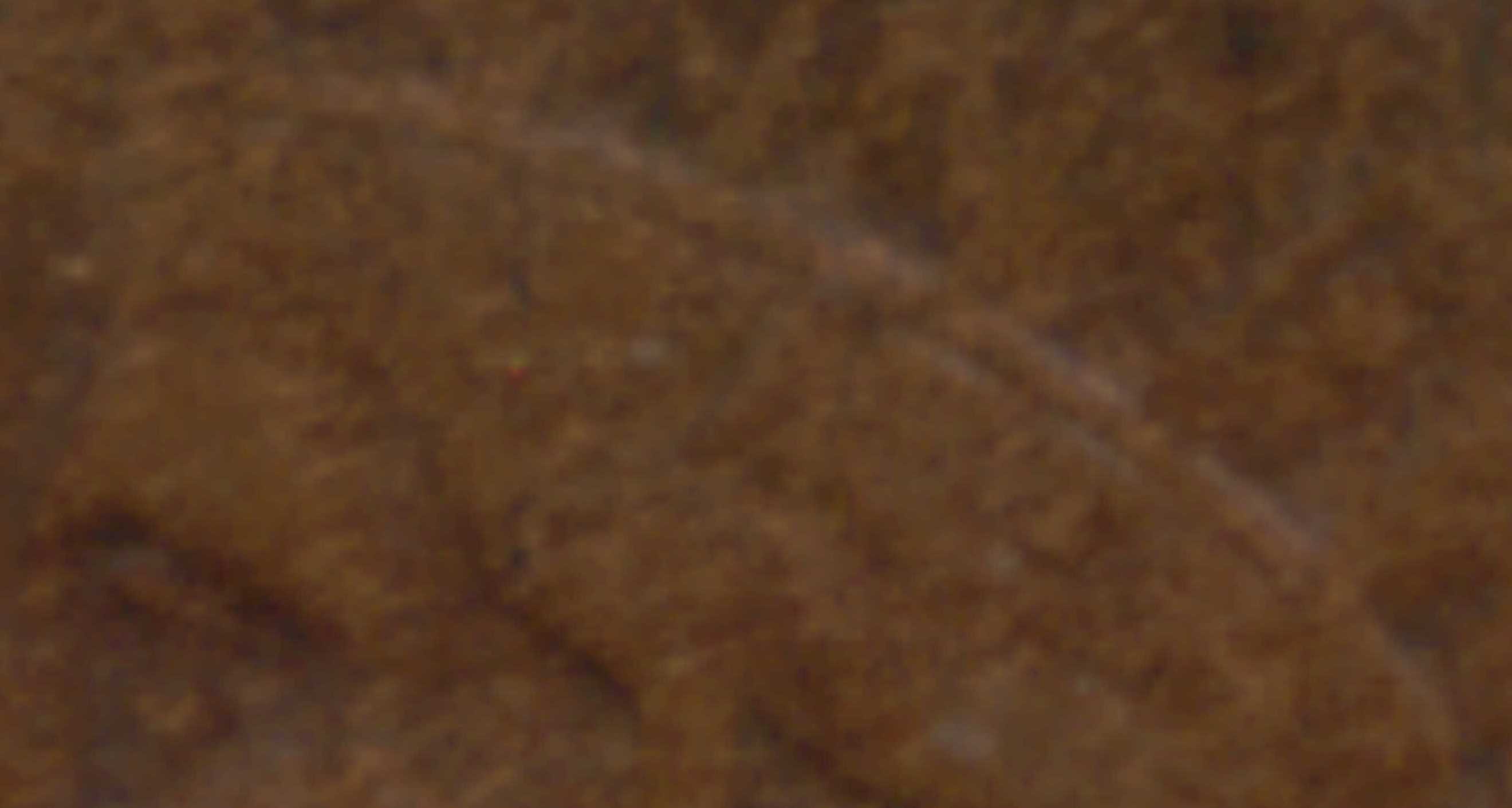 1872-Indian-Head-Cent