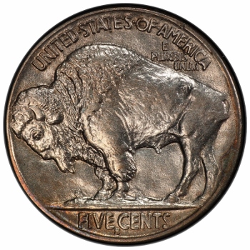 1913-S-Type-2-Buffalo-Nickel
