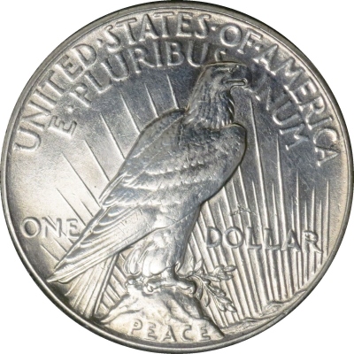 1928-P-Peace-Dollar,-What-Do-You-Think?