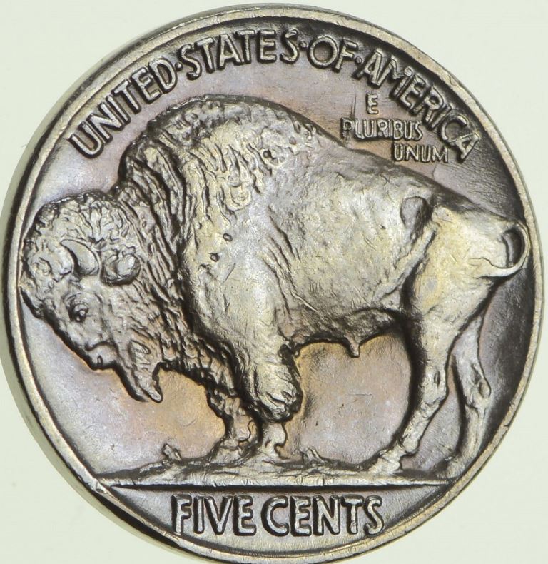 Unslabbed-1919-Buffalo-Nickel...what-Do-You-Think-It-Should-Grade?