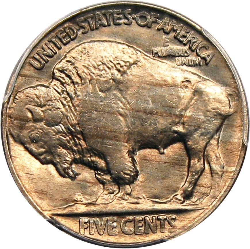 1919-Buffalo-Nickel,-What-Do-You-Think?