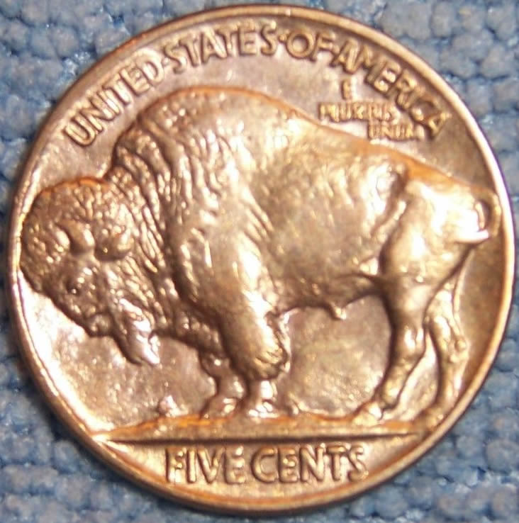 1914-D-Buffalo-Nickel