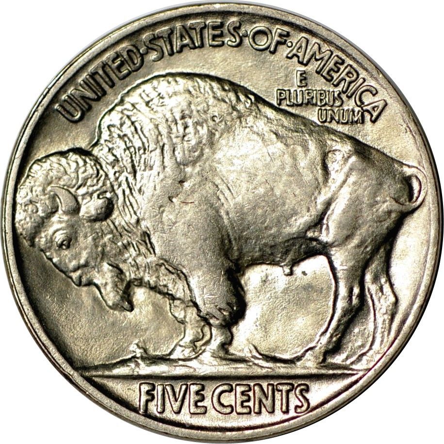 2-Buffalo-Nickels,-1929-D-And-1935,-One-Slabbed