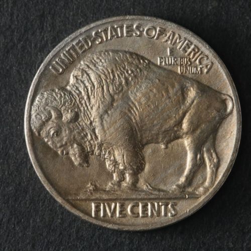 1916-Buffalo-Nickel,-What-Do-You-Think?