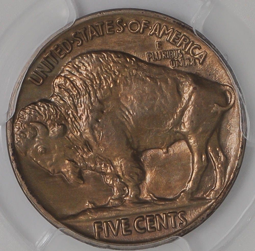 1915-P-Buffalo-Nickel,-Slabbed