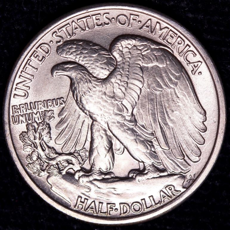 1934-Walking-Liberty-Half,-Unslabbed,-What-Do-You-Think,-Yes-Another-One