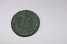ID-Help-Needed...constantne?-I-Or-II-?