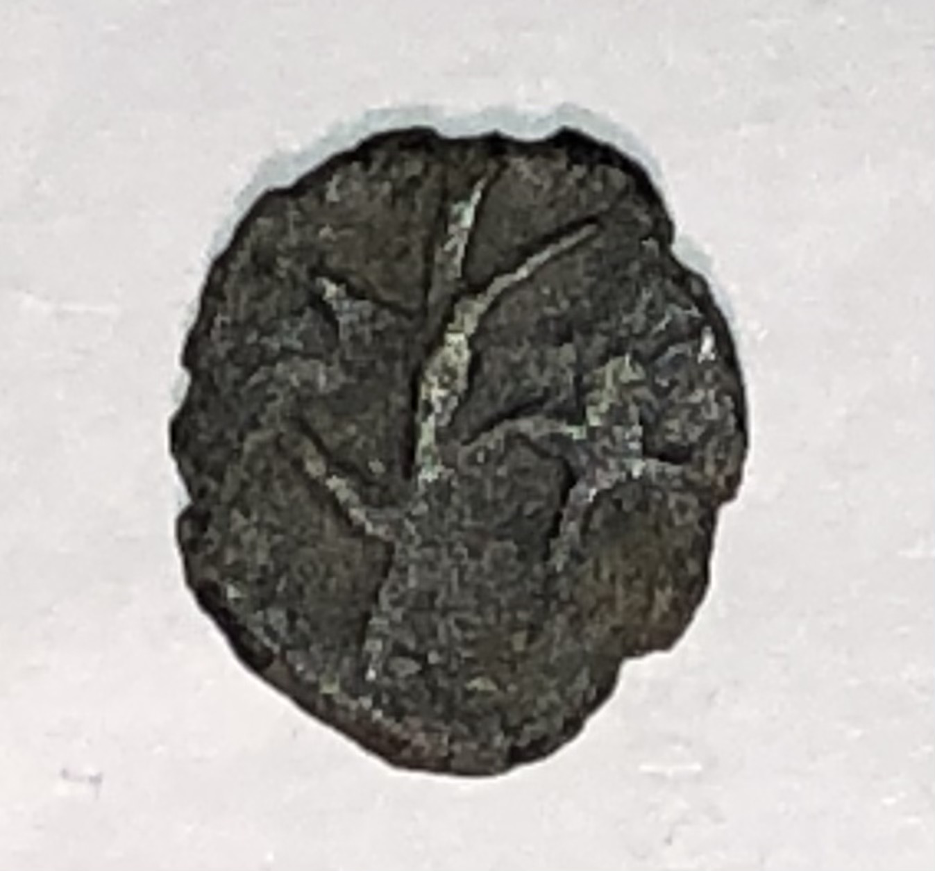 Saxon-Coin.-Can-Anyone-Help-Identify-This-Coin-Found-In-The-Uk?-9-11mm