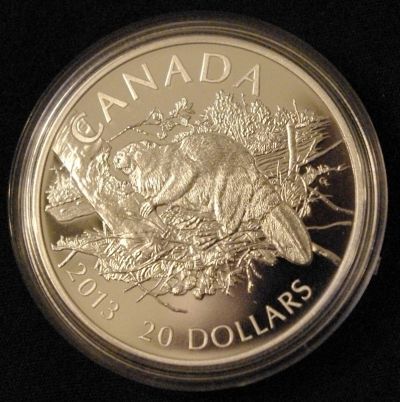 Got-My-2013-Beaver-1-Oz-Coin