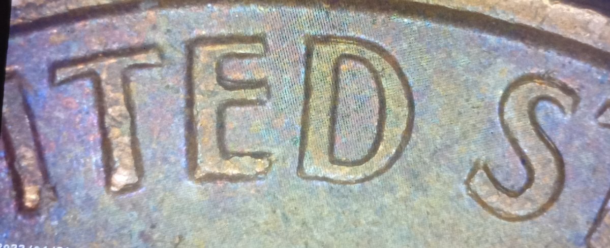 1964-D-Lincoln-Cent.--Just-Dbl-Checking.-MD