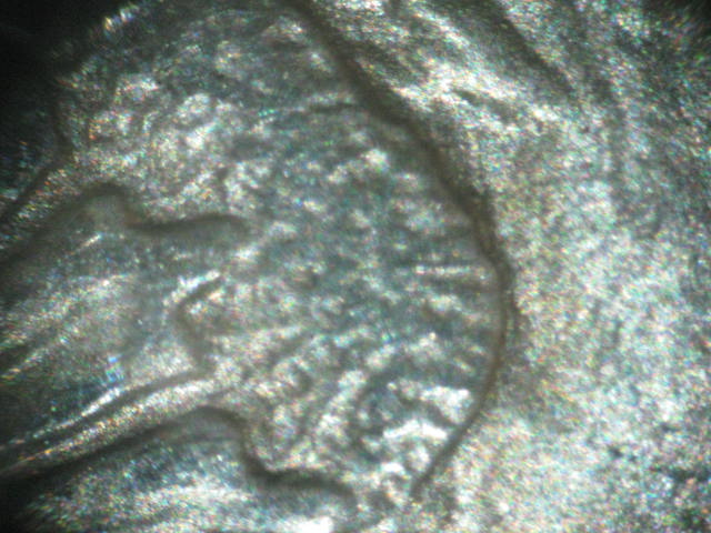 1880--S-VAM-Help