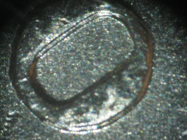 1883-O-VAM-49-Maybe
