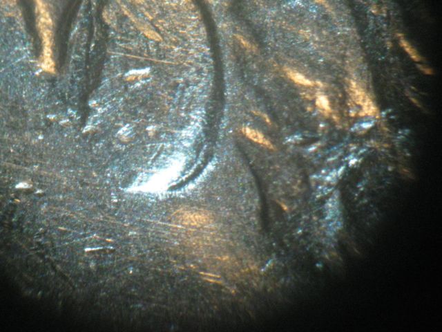 1883-O-VAM-49-Maybe