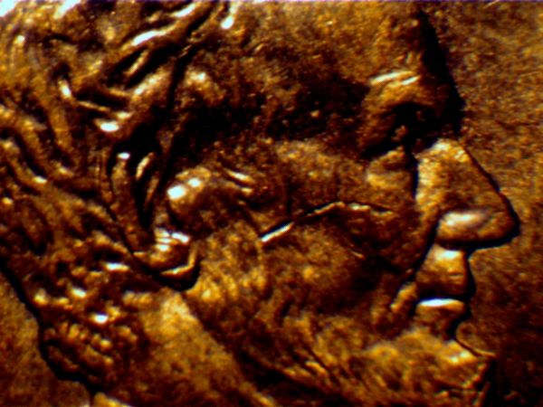 2006-Penny,-Is-This-Double-Ear?-Really-Not-Sure.