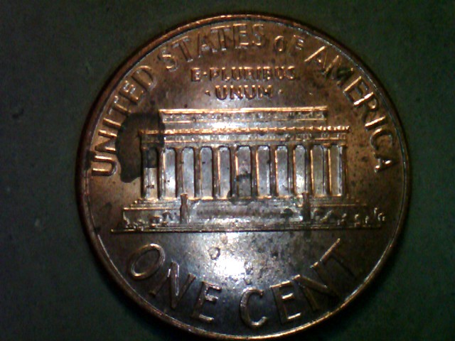 2006-Penny,-Is-This-Double-Ear?-Really-Not-Sure.