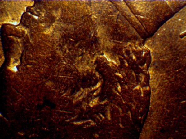 1994-Penny,-Canbe-Double-Ear,-Not-Sure.-Help.