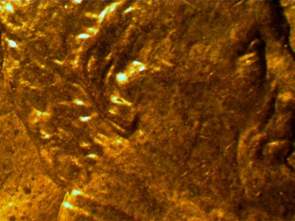 1984-Penny-Double-Earlobe?