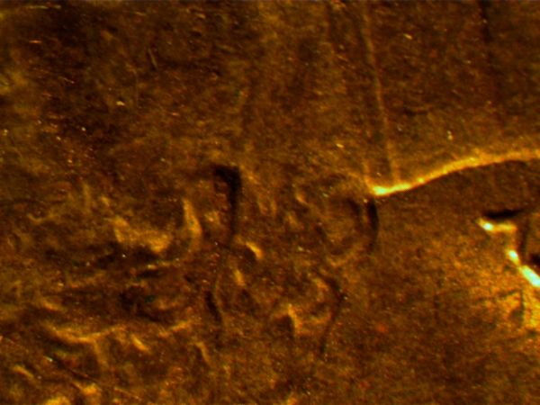 1984-Penny-Double-Earlobe?