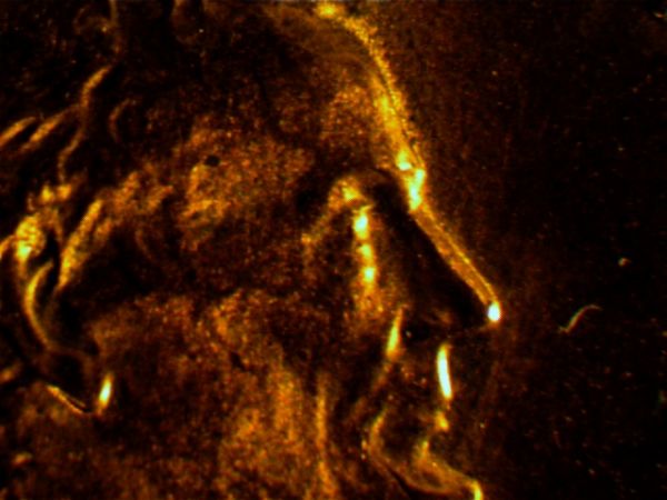 1982-SD-Penny-Double-Nose?-Is-It.